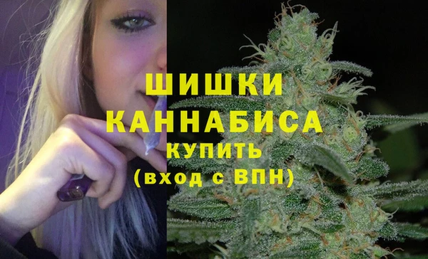 молекула духа Покров