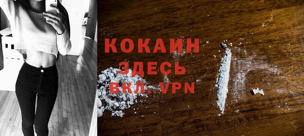 ешки Аркадак
