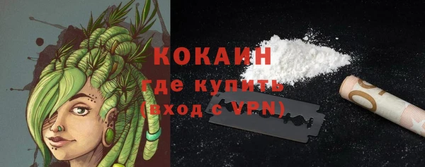 ешки Аркадак