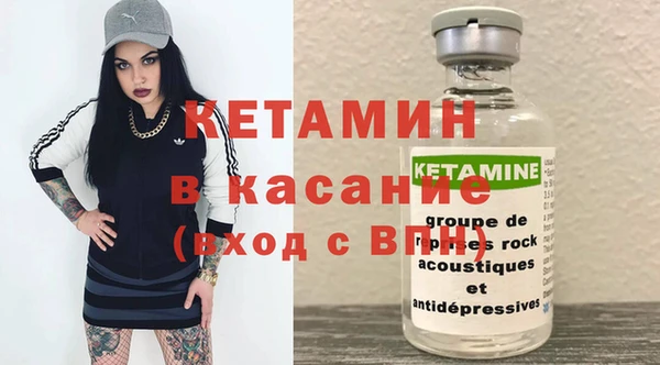 ешки Аркадак